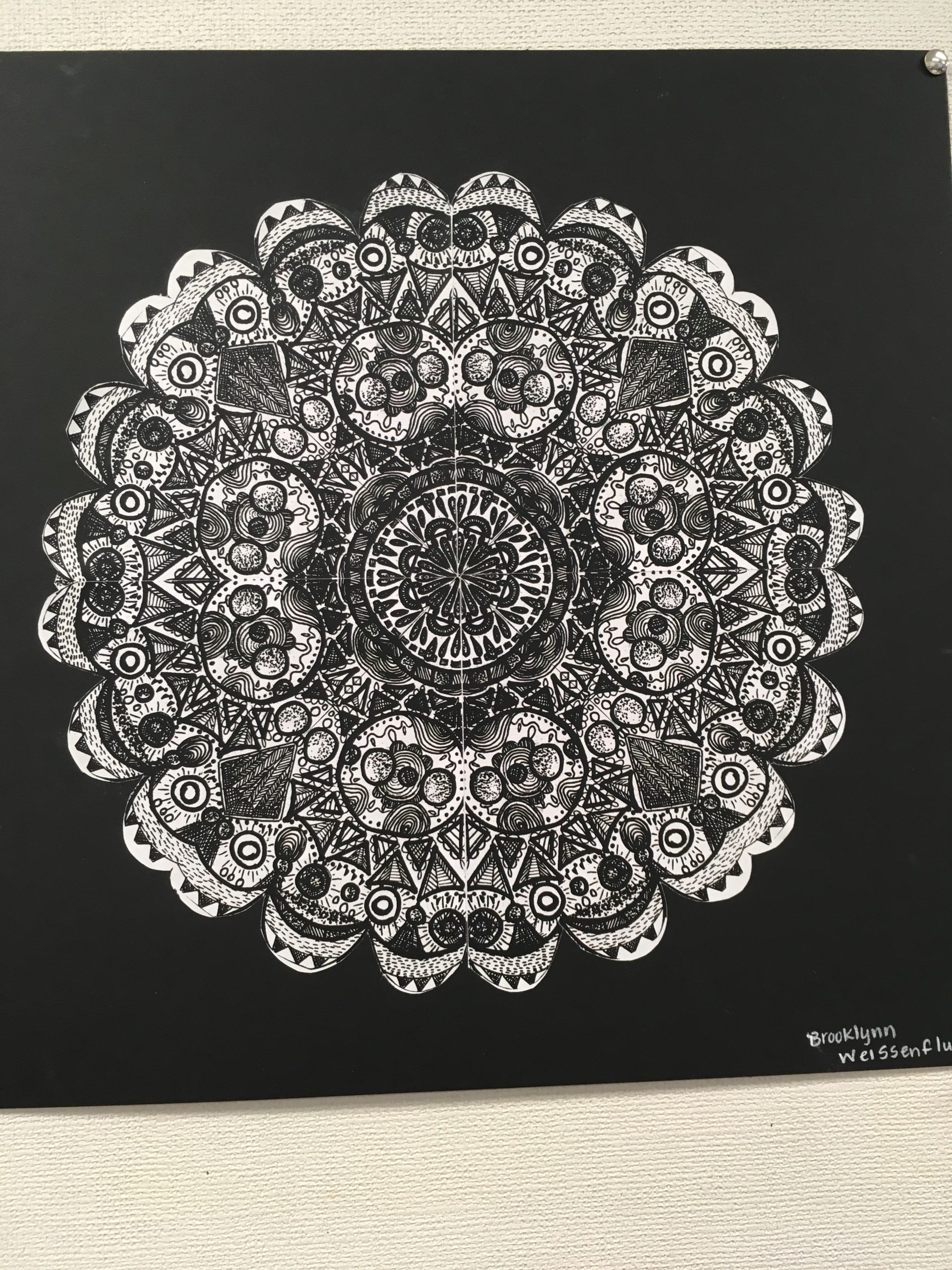 Loving College Classes, the Library and the Gym