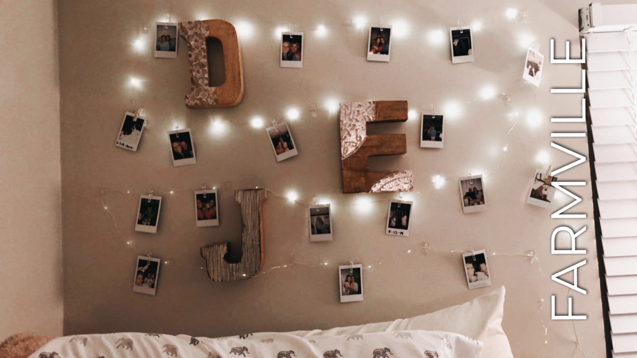 Quizzes, Homework and a Road Trip with New Friends